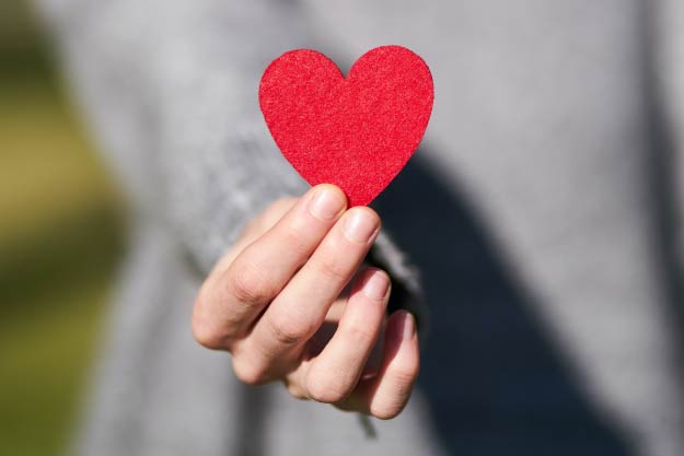 ¿Quién REINA EN EL REINO?